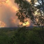 A dense forest landscape with a distant horizon engulfed in the glow of a bushfire