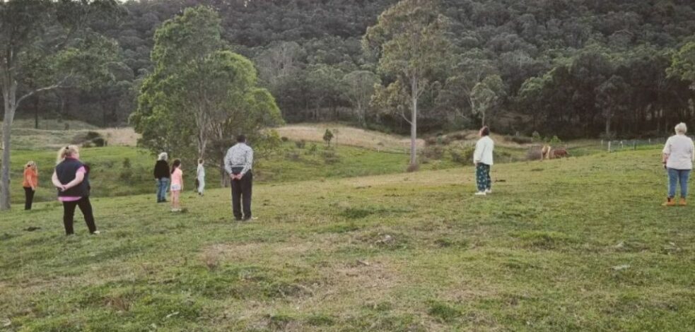 Pictured is an open paddock with green grass and tress in the background. A group of mental health professionals are standing in the distance with some horses.